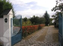 Pyracantha Saphyr Orange ('Cadange') 9 Pyracantha Saphyr Orange ('Cadange') -Herbalife Shop pl0000001709 card4 lg