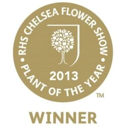 Mahonia Eurybracteata Subsp. Ganpinensis 'Soft Caress' (PBR) -Herbalife Shop pl2000020849 card3 lg