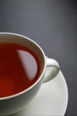 Tea Plant -Herbalife Shop pl2000021386 card6 lg