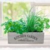 Kitchen Herb Garden Kit 2 Kitchen Herb Garden Kit -Herbalife Shop pl2000023930