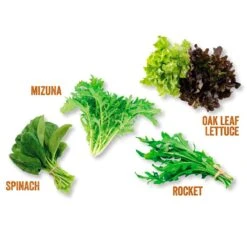 Kitchen Salad Garden Kit -Herbalife Shop pl2000023931 card3 lg