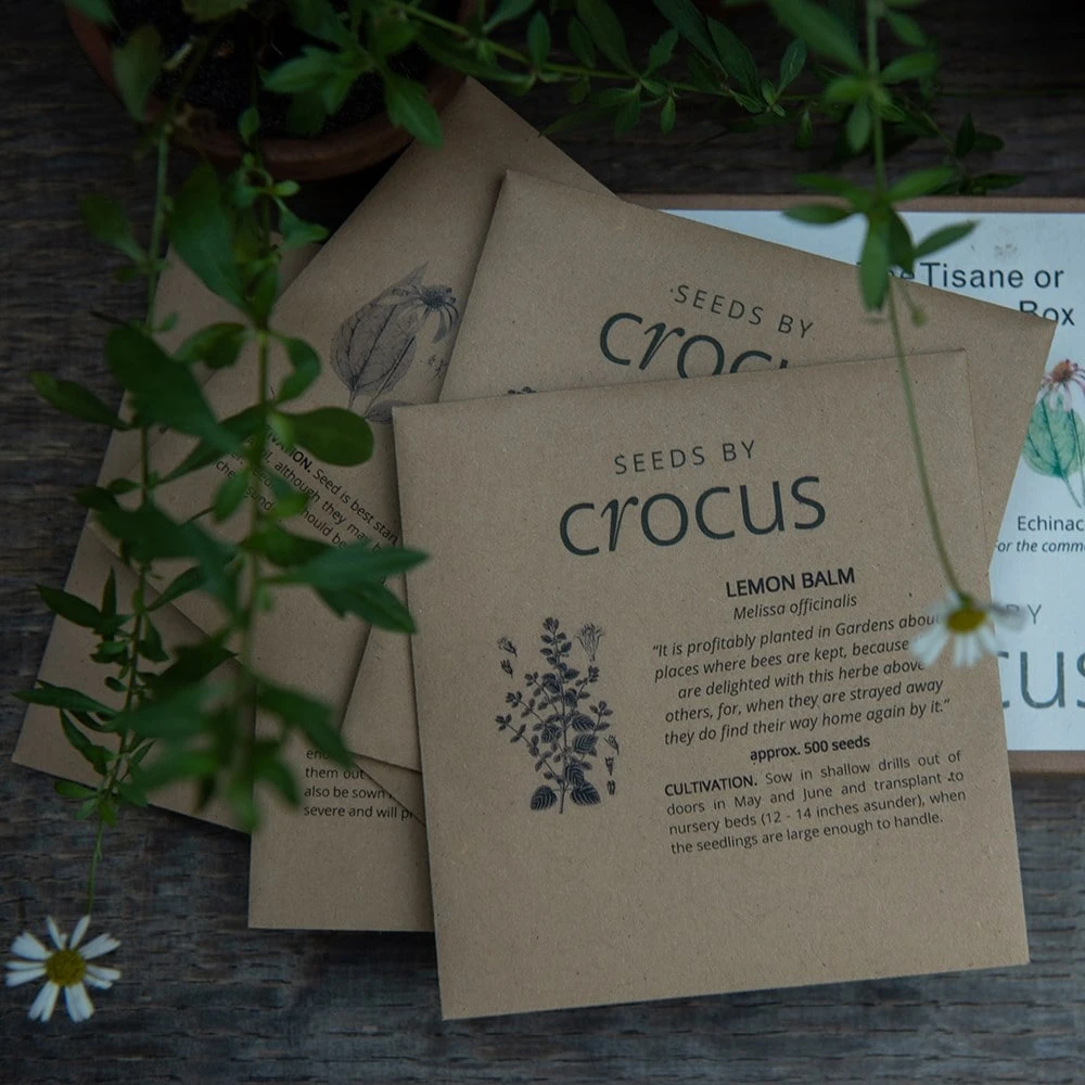 Herbal Teas Seed Gift Box 4 Herbal Teas Seed Gift Box - Image 2