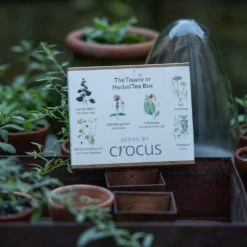 Herbal Teas Seed Gift Box 7 Herbal Teas Seed Gift Box -Herbalife Shop pl2000024986 card3 lg