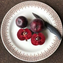 Malus 'Roberts Crab' -Herbalife Shop pl2000027194 card4 lg