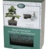 Bonsai Pine - Seed Growing Kit 2 Bonsai Pine - Seed Growing Kit -Herbalife Shop pl2000039320