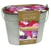Sweet Peas In A Gift Bucket -Herbalife Shop pl2000040137