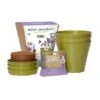 Mini Meadow Seedballs And 3 Bamboo Pots & Saucers 2 Mini Meadow Seedballs And 3 Bamboo Pots & Saucers -Herbalife Shop pl2000040778