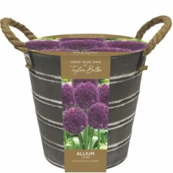 Outdoor Metal Allium Bucket