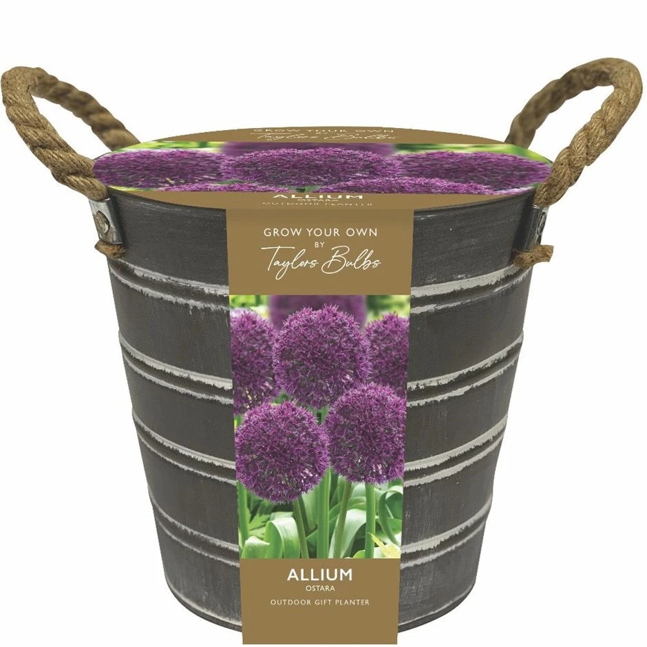 Outdoor Metal Allium Bucket 3 Outdoor Metal Allium Bucket