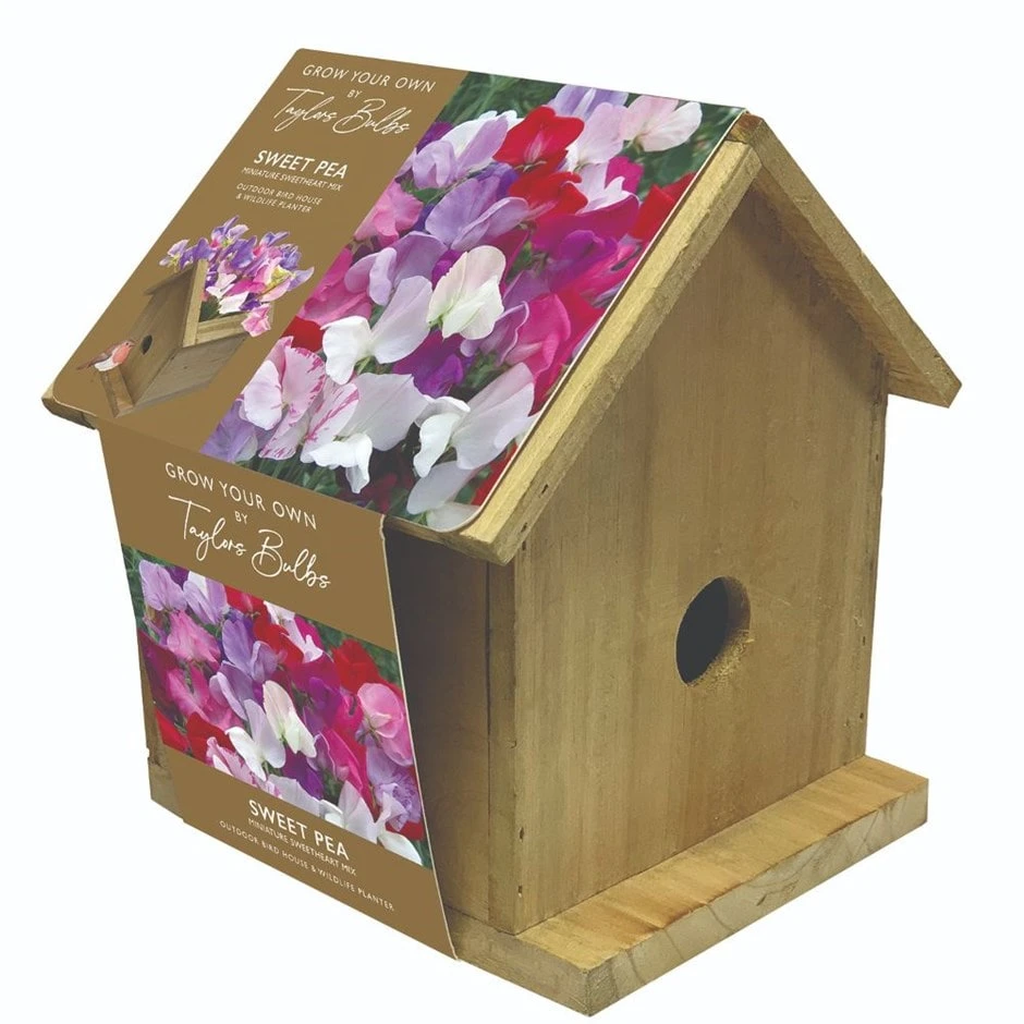 Sweet Pea Birdhouse 3 Sweet Pea Birdhouse