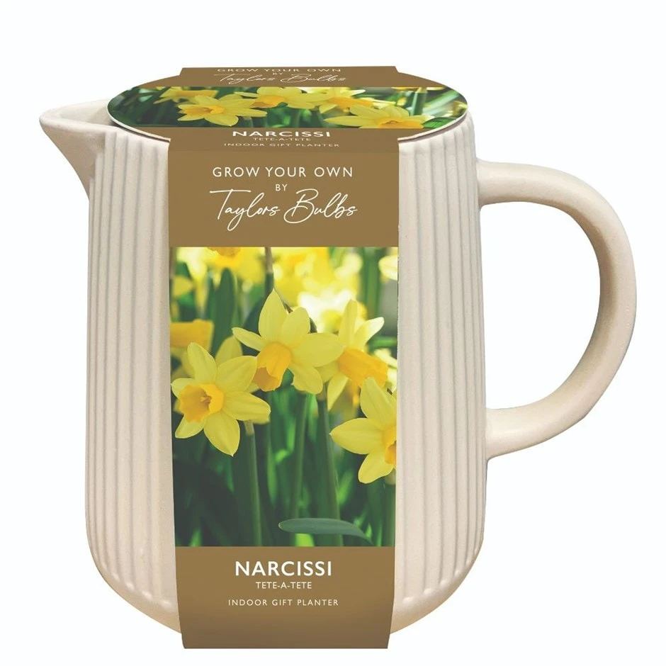 Indoor Ceramic Narcissi Jug 3 Indoor Ceramic Narcissi Jug