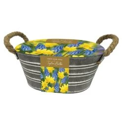 Daffodil And Muscari Outdoor Metal Trough Gift Set
