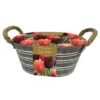 Tulips Outdoor Metal Trough Gift Set -Herbalife Shop pl2000045542