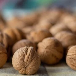 Walnut 'Europa' -Herbalife Shop pl2000047700 card2 lg