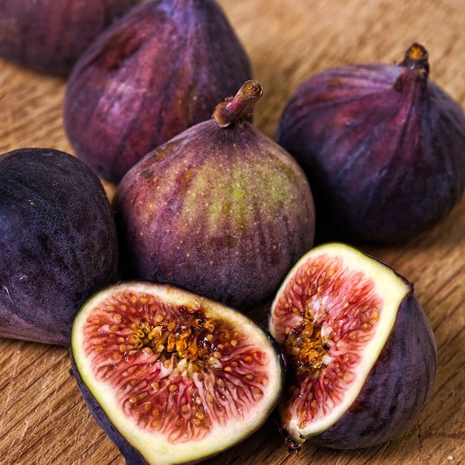 Fig 'Dauphine' 3 Fig 'Dauphine'