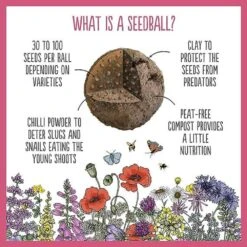 Seedballs Native Wildflowers For Shade -Herbalife Shop pl2000048350 card2 lg