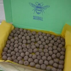Seedballs Native Annual Wildflowers -Herbalife Shop pl2000048353 card7 lg