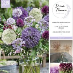 Dried Flowers - Spring 'flowering Bulb Collection'