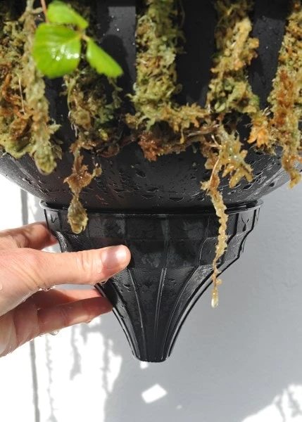 Pair Of Self-watering Hanging Baskets 5 Pair Of Self-watering Hanging Baskets - Image 3