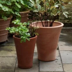 Empoli Terracotta Lily Pot -Herbalife Shop pr2000012808 card2 lg