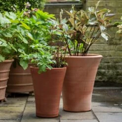 Empoli Terracotta Lily Pot -Herbalife Shop pr2000012808 card5 lg