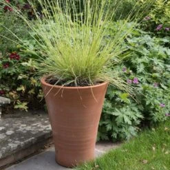 Empoli Terracotta Lily Pot -Herbalife Shop pr2000012808 card7 lg