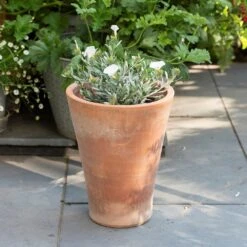 Empoli Terracotta Lily Pot -Herbalife Shop pr2000012808 card8 lg