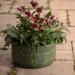 Verdigris Plant Bowl/drink Bucket -Herbalife Shop pr2000016191 card2 lg