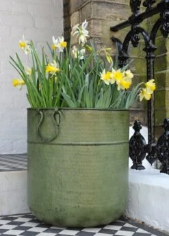 Verdigris Tall Metal Planter 8 Verdigris Tall Metal Planter -Herbalife Shop pr2000016192 card2 lg