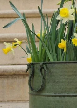 Verdigris Tall Metal Planter 10 Verdigris Tall Metal Planter -Herbalife Shop pr2000016192 card4 lg