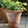 Terracotta Arc Pot 2 Terracotta Arc Pot -Herbalife Shop pr2000016942