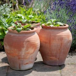 Terracotta Tulip Pot 21 Terracotta Tulip Pot -Herbalife Shop pr2000017349 card10 lg