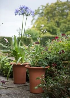 Terracotta Flared Rim Pot 18 Terracotta Flared Rim Pot -Herbalife Shop pr2000017350 card8 lg