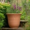Terracotta Perennial Bell Pot -Herbalife Shop pr2000017362