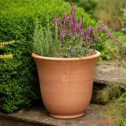 Terracotta Perennial Bell Pot -Herbalife Shop pr2000017362 card5 lg