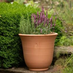 Terracotta Perennial Bell Pot -Herbalife Shop pr2000017362 card6 lg