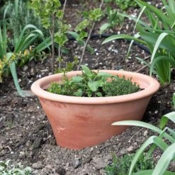 Terracotta Rimmed Grow Pot -Herbalife Shop pr2000022763 card3 lg