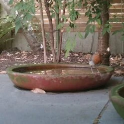 Terracotta Saucer -Herbalife Shop pr2000022770 card3 lg