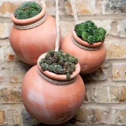 Terracotta Babylon Hanging Pot -Herbalife Shop pr2000023695 card4 lg