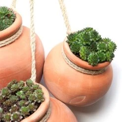 Terracotta Babylon Hanging Pot -Herbalife Shop pr2000023695 card5 lg