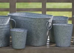 Galvanised Metal Trough -Herbalife Shop pr2000026345 card4 lg