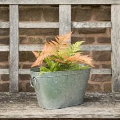 Galvanised Metal Trough -Herbalife Shop pr2000026345 card5 lg