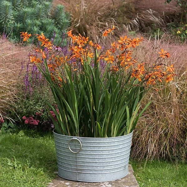 Ribbed Galvanised Tub 4 Ribbed Galvanised Tub - Image 2