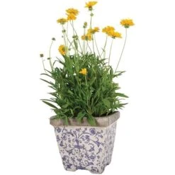 Aged Ceramic Flower Pots - Set Of 3 -Herbalife Shop pr2000028008 card3 lg