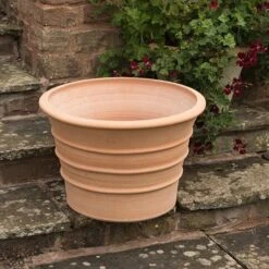 Monachou Fardipati Terracotta Pot 13 Monachou Fardipati Terracotta Pot -Herbalife Shop pr2000028348 card5 lg