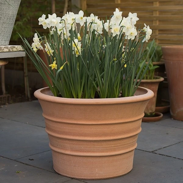 Monachou Fardipati Terracotta Pot 9 Monachou Fardipati Terracotta Pot - Image 7