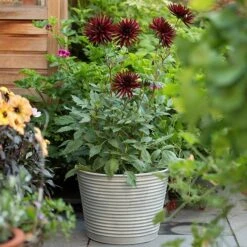 Ribbed Zinc Planter -Herbalife Shop pr2000028781 card2 lg