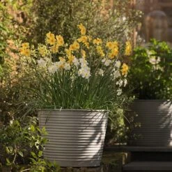 Ribbed Zinc Planter -Herbalife Shop pr2000028781 card3 lg