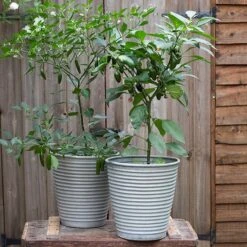 Ribbed Zinc Planter -Herbalife Shop pr2000028781 card9 lg