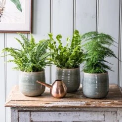Crackle Glaze Plant Pot - Mint 6 Crackle Glaze Plant Pot - Mint -Herbalife Shop pr2000031226 card2 lg